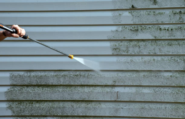 Best Mold Damage Repair  in Parma Heights, OH